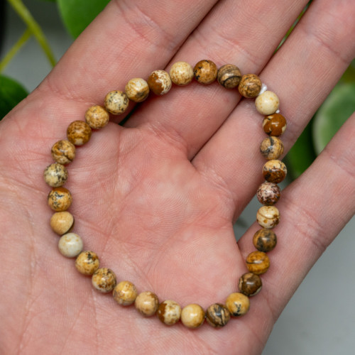 Picture Jasper Bracelet 6mm