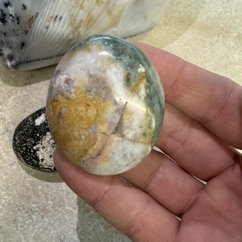 Ocean Jasper Palmstone