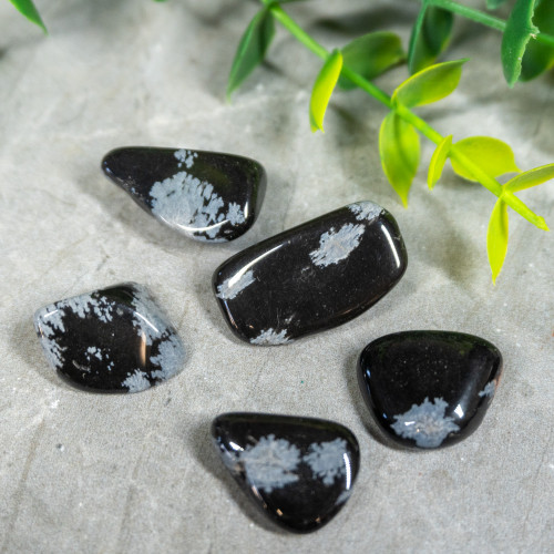 Snowflake Obsidian Tumbled