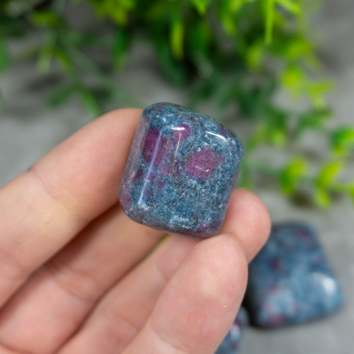 Ruby in Kyanite Tumbled