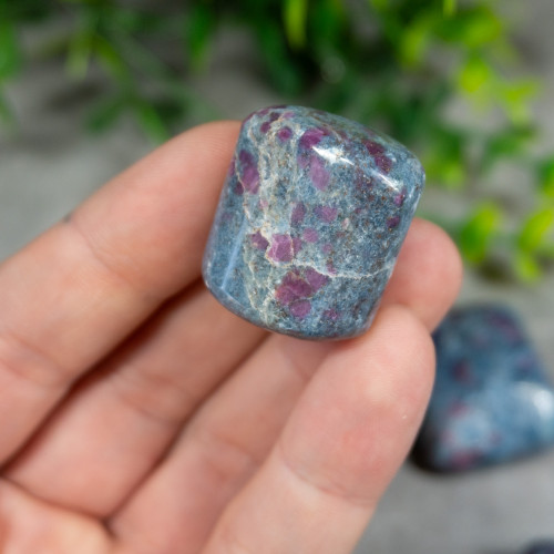 Ruby in Kyanite Tumbled