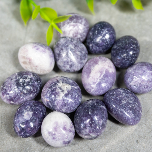 Lepidolite Tumbled