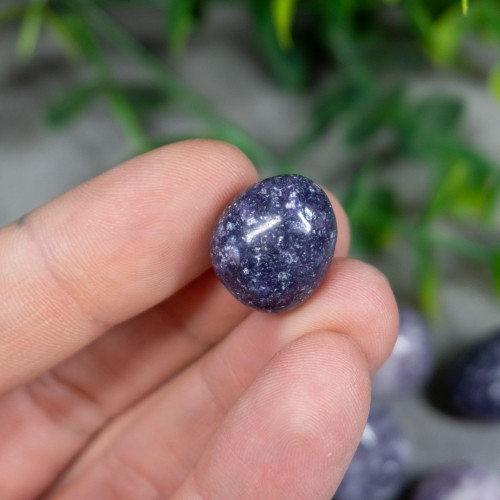 Lepidolite Tumbled