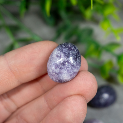 Lepidolite Tumbled