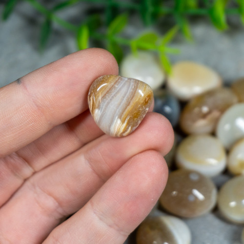 Banded Agate Tumbled