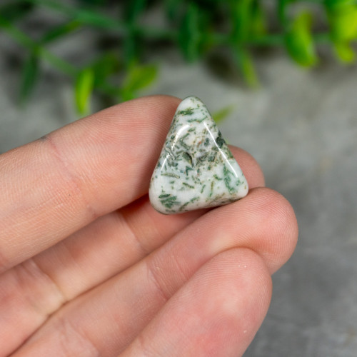 Tree Agate Tumbled