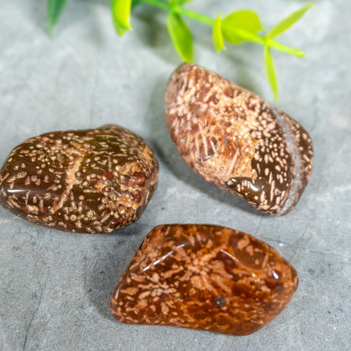 Star Jasper Tumbled