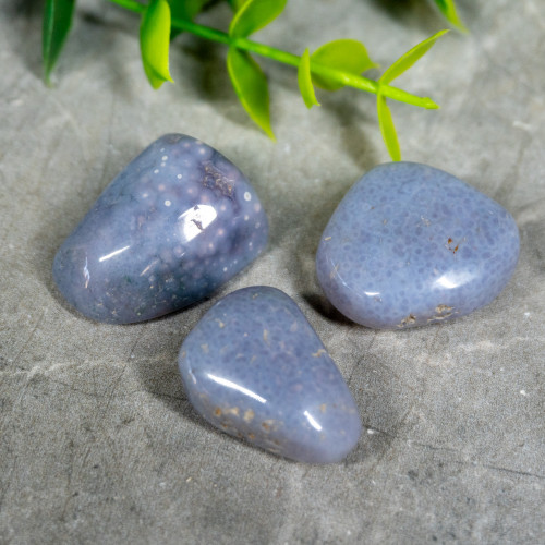Purple Chalcedony Tumbled