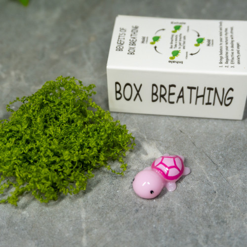 Turtle Box Breathing Exercise