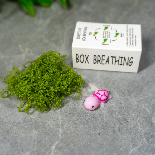 Turtle Box Breathing Exercise