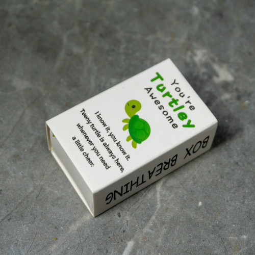 Turtle Box Breathing Exercise