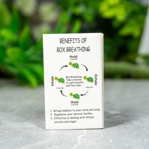 Turtle Box Breathing Exercise