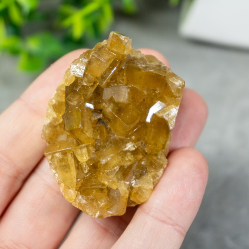 Golden Barite  on Fluorite #23