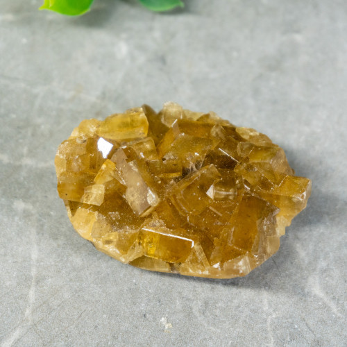 Golden Barite  on Fluorite #23