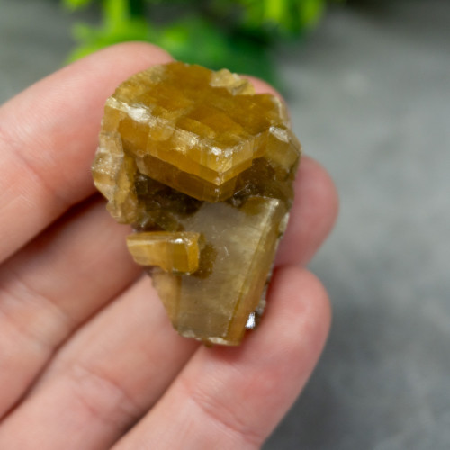 Golden Barite on Fluorite #13