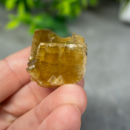 Golden Barite on Fluorite #13