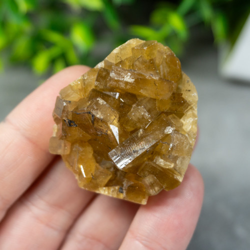 Golden Barite on Fluorite #7