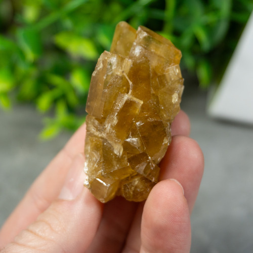 Golden Barite on Fluorite #5