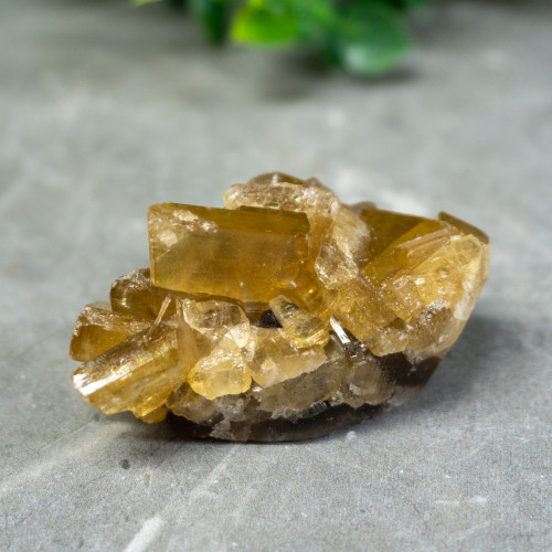 Golden Barite on Fluorite #5