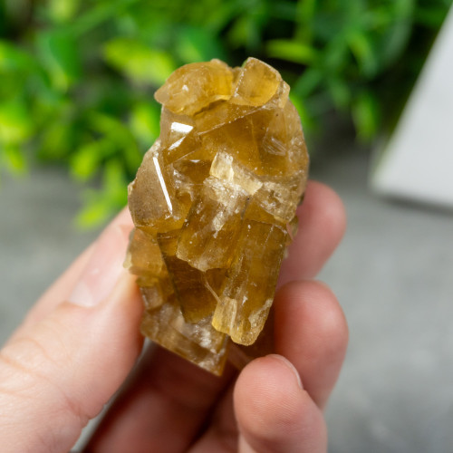 Golden Barite on Fluorite #5