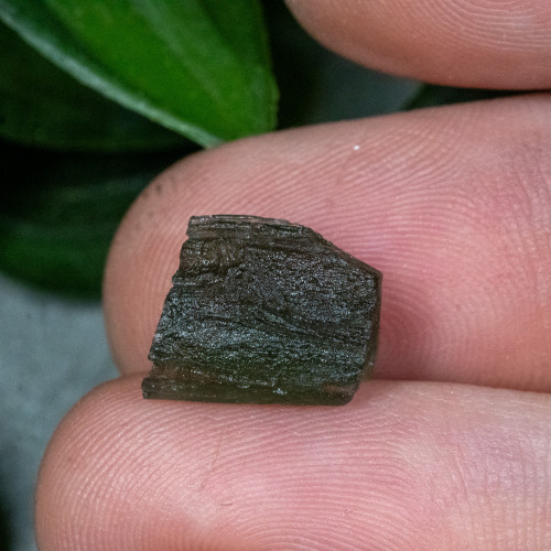 Moldavite #44