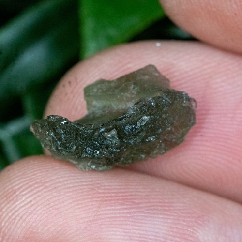 Moldavite #43