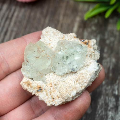 Green Fluorite on Matrix #1