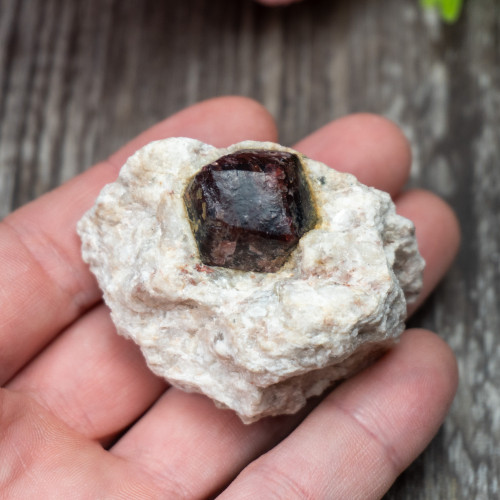 Garnet (Nevada) #1
