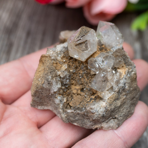 Herkimer Diamond Family on Matrix