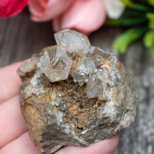 Herkimer Diamond Family on Matrix