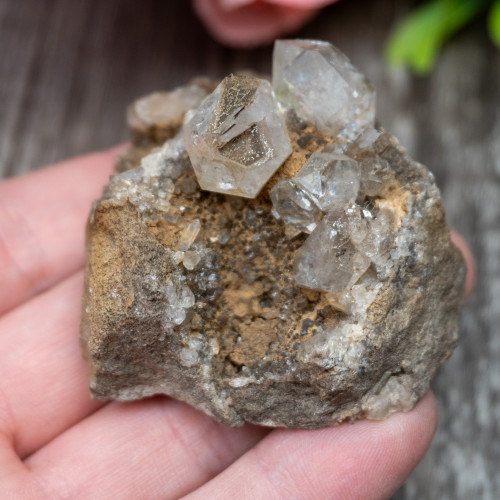 Herkimer Diamond Family on Matrix