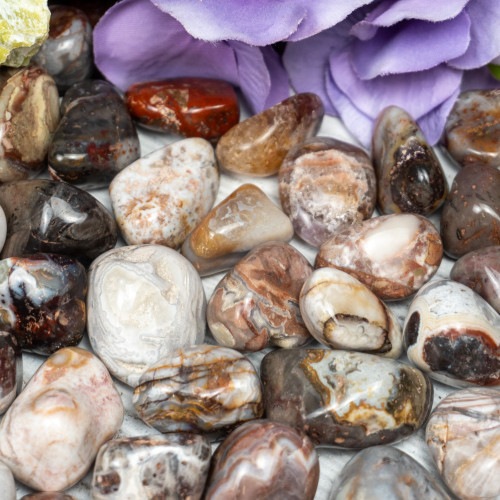 Mexican Agate Tumbled