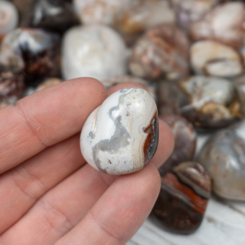 Mexican Agate Tumbled