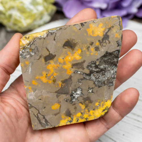 Bumble Bee Jasper Slab #12