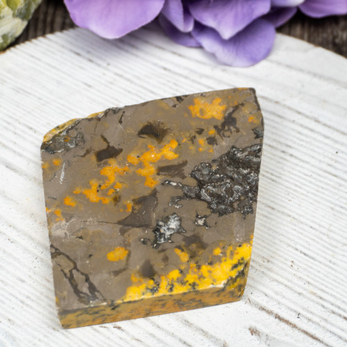 Bumble Bee Jasper Slab #12