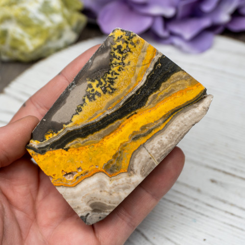 Bumble Bee Jasper Slab #11