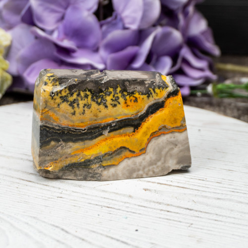 Bumble Bee Jasper Slab #11