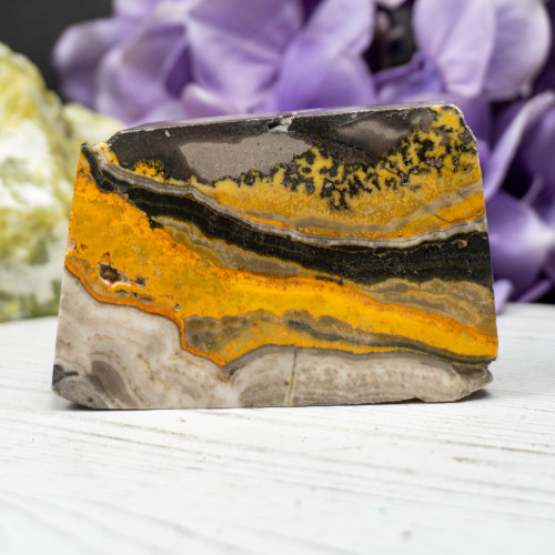 Bumble Bee Jasper Slab #11