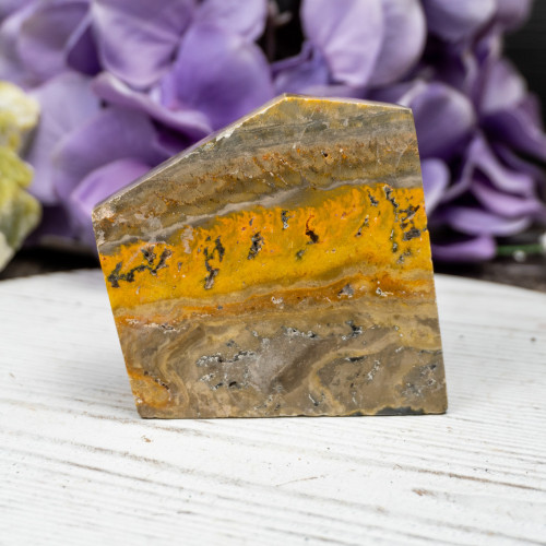 Bumble Bee Jasper Slab #10