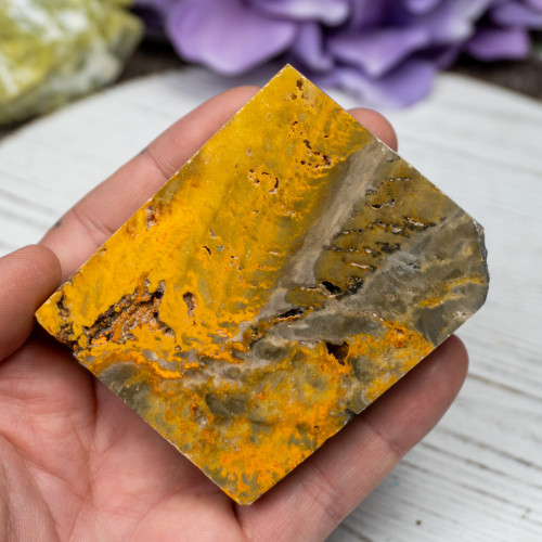 Bumble Bee Jasper Slab #9