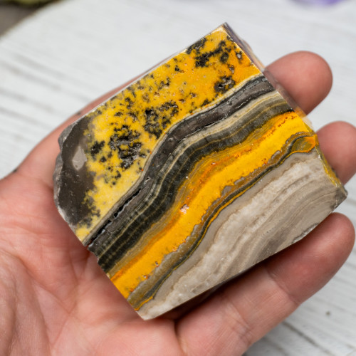 Bumble Bee Jasper Slab #7