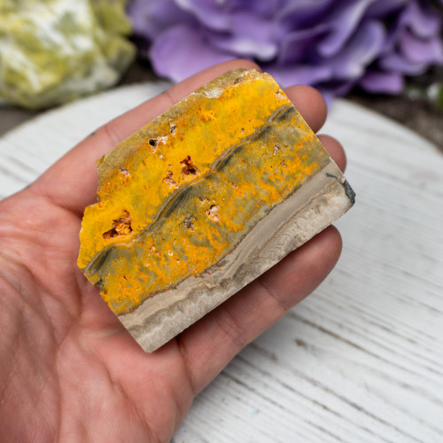 Bumble Bee Jasper Slab #6