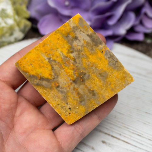 Bumble Bee Jasper Slab #5