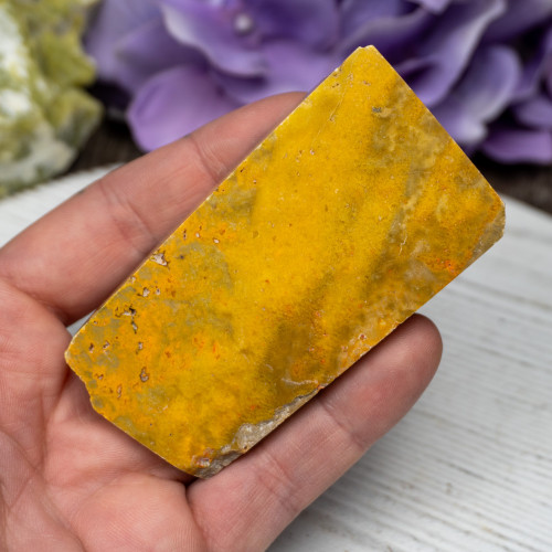 Bumble Bee Jasper Slab #4
