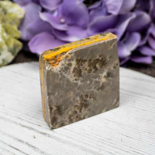 Bumble Bee Jasper Slab #1