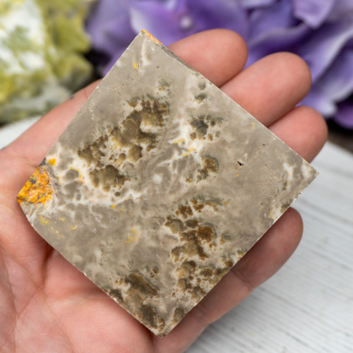 Bumble Bee Jasper Slab #1