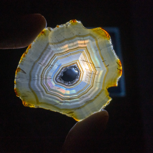 Iris Agate Slice #12