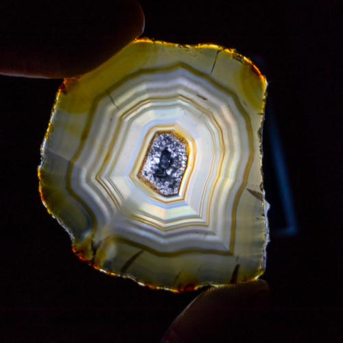 Iris Agate Slice #11