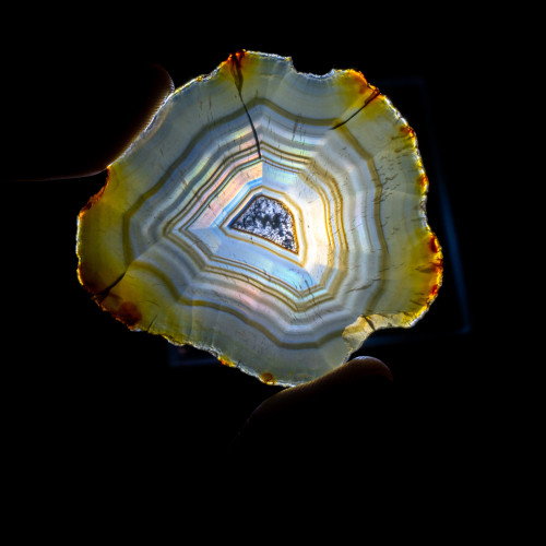 Iris Agate Slice #10