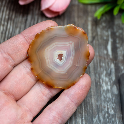 Iris Agate Slice #7
